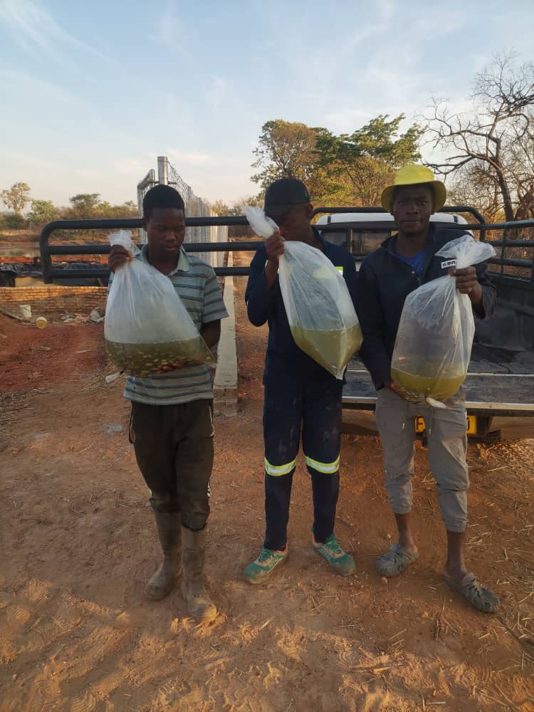Fish Farming Training